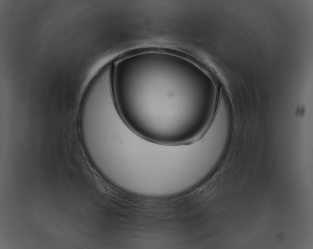 X0000090951320200708241119
