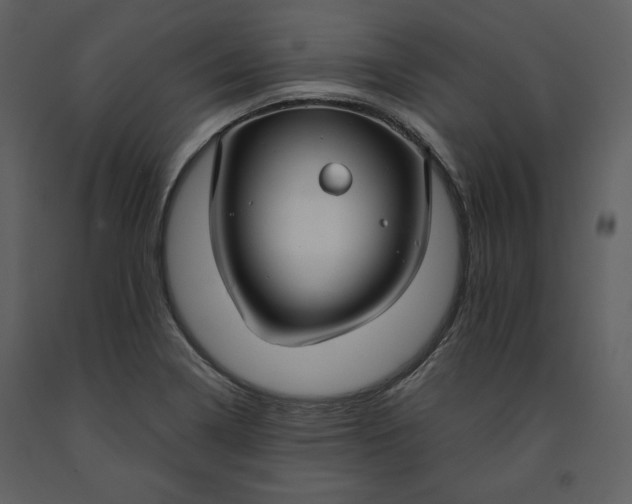 X0000090951322200708241119