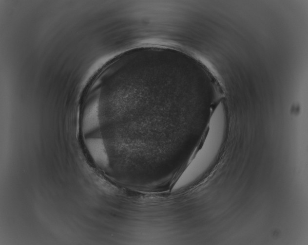X0000090951323200708241119