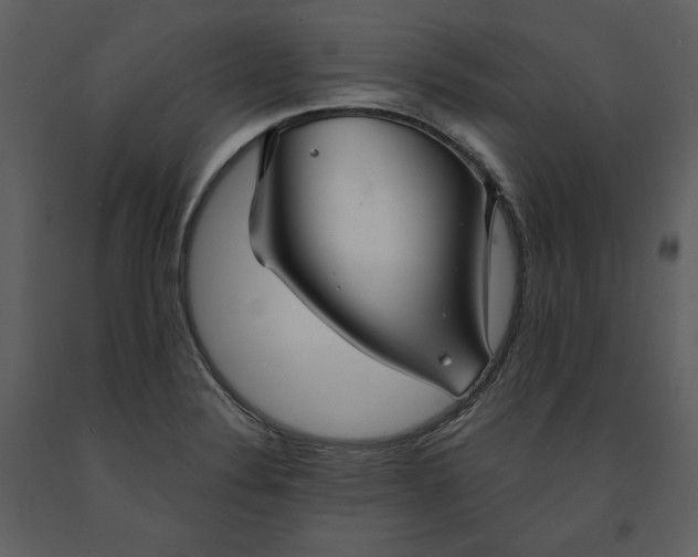 X0000090951324200708241119