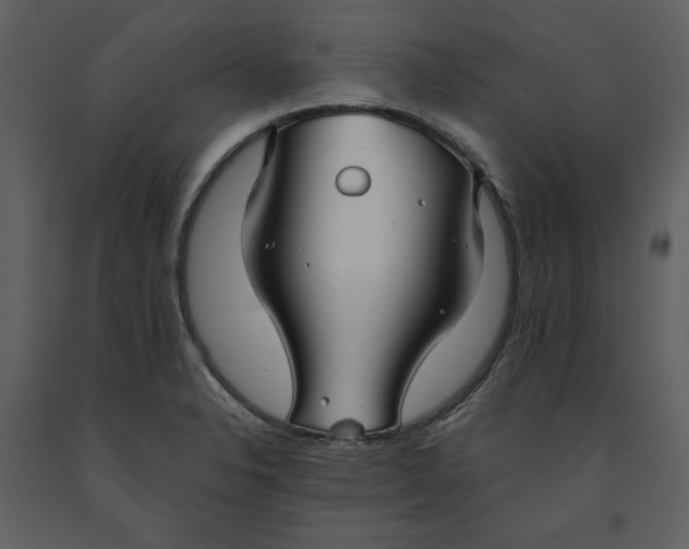 X0000090951326200708241119