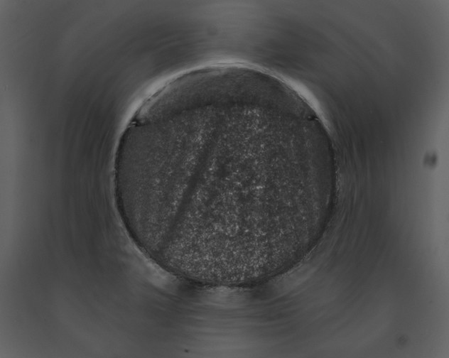X0000090951327200708241119