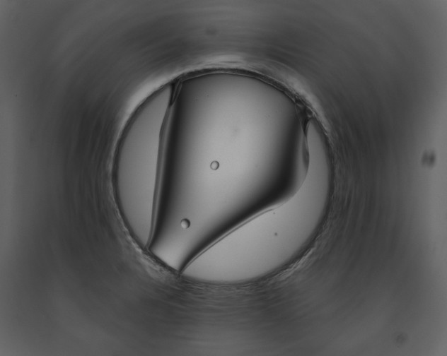 X0000090951328200708241119