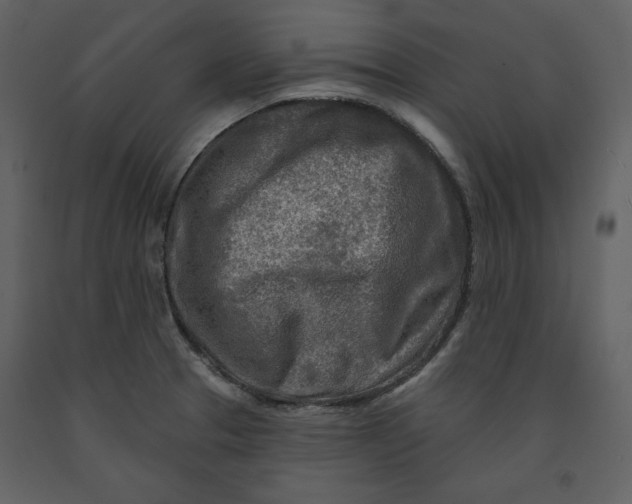 X0000090951329200708241119