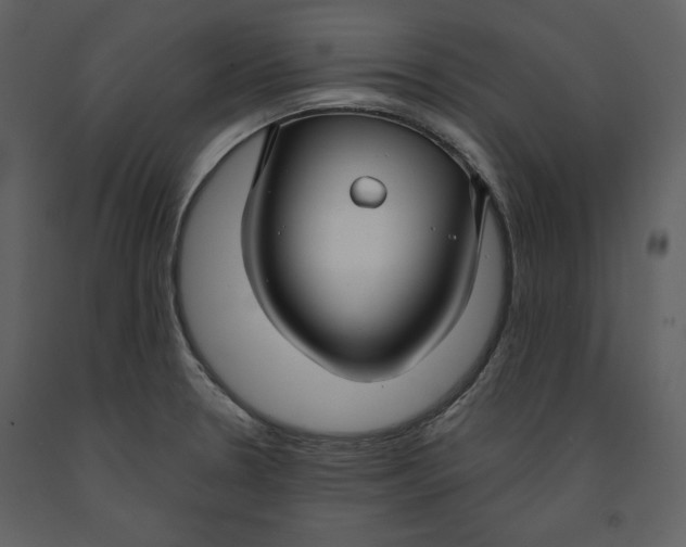X0000090951330200708241119