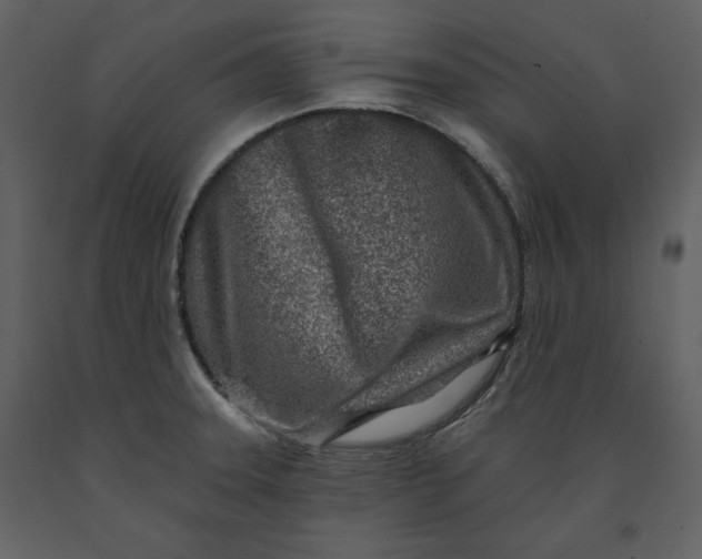 X0000090951331200708241119
