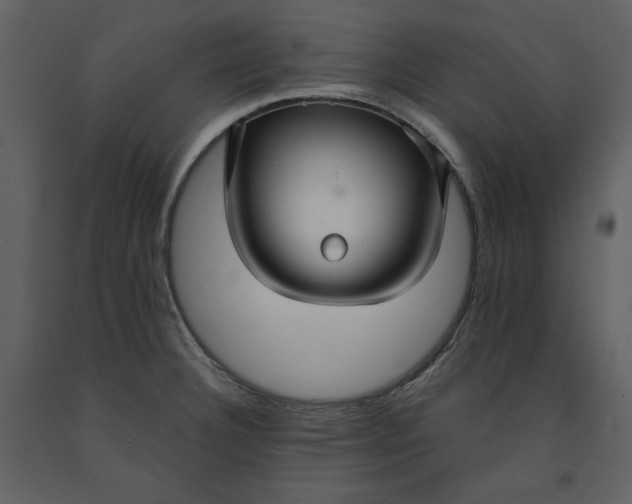X0000090951332200708241119