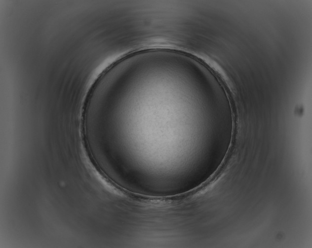 X0000090951333200708241119