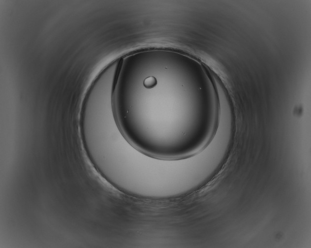 X0000090951334200708241119