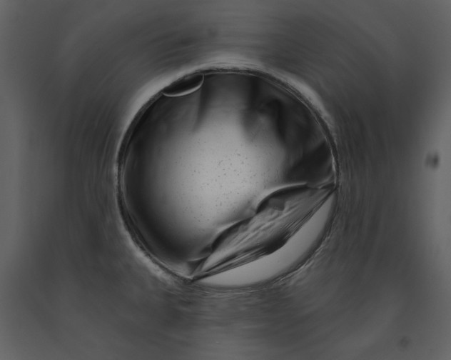 X0000090951335200708241119