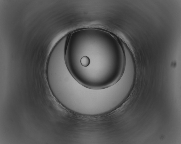 X0000090951336200708241119