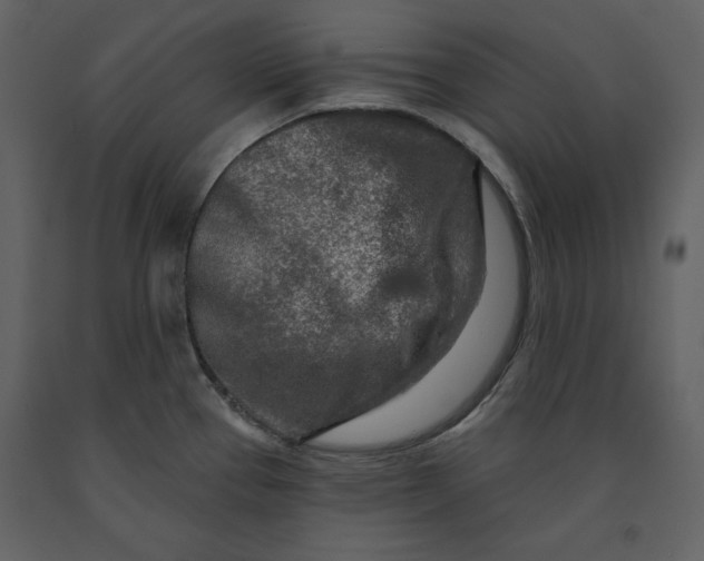X0000090951337200708241119