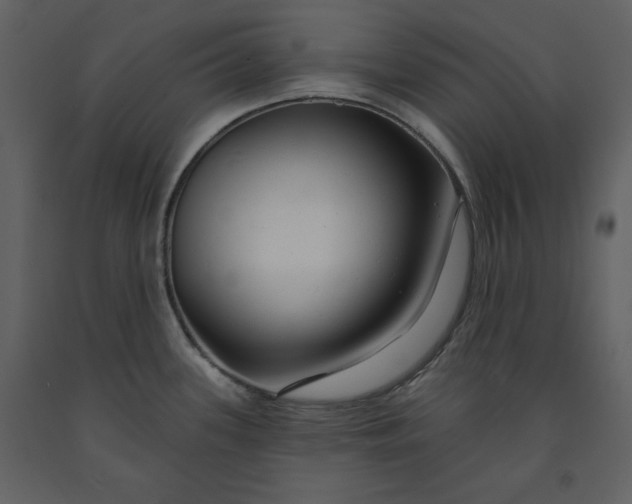 X0000090951339200708241119