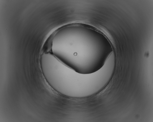 X0000090951340200708241119