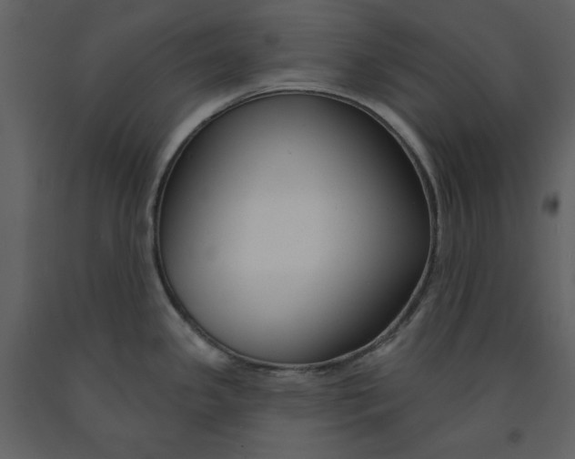 X0000090951341200708241119