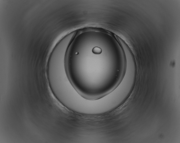 X0000090951342200708241119