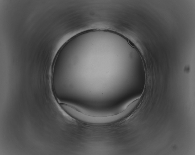 X0000090951343200708241119
