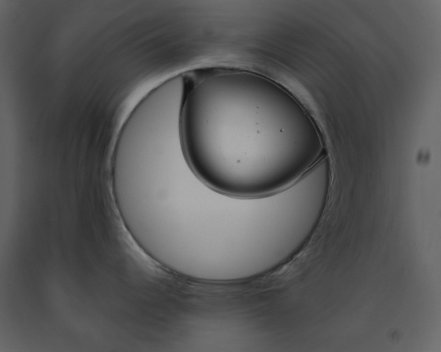 X0000090951344200708241119