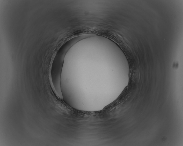 X0000090951345200708241118