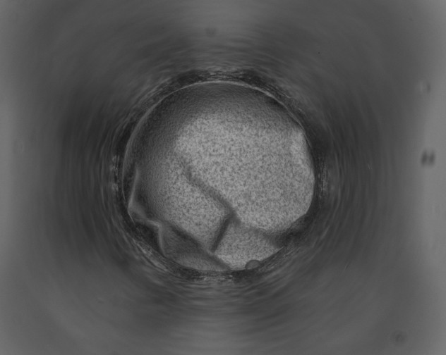 X0000090951346200708241118