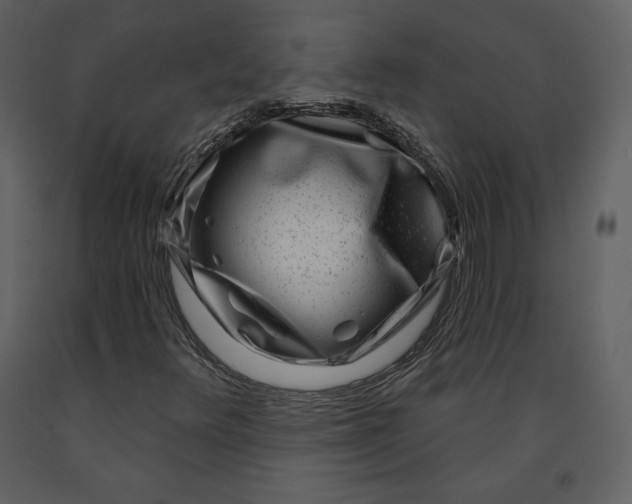 X0000090951348200708241118