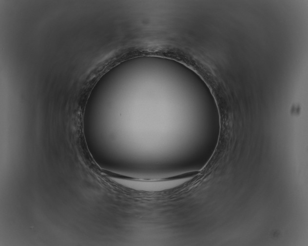 X0000090951349200708241118