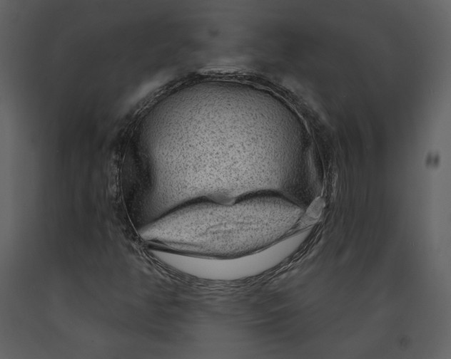 X0000090951350200708241118