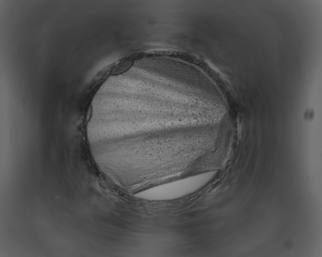 X0000090951351200708241118