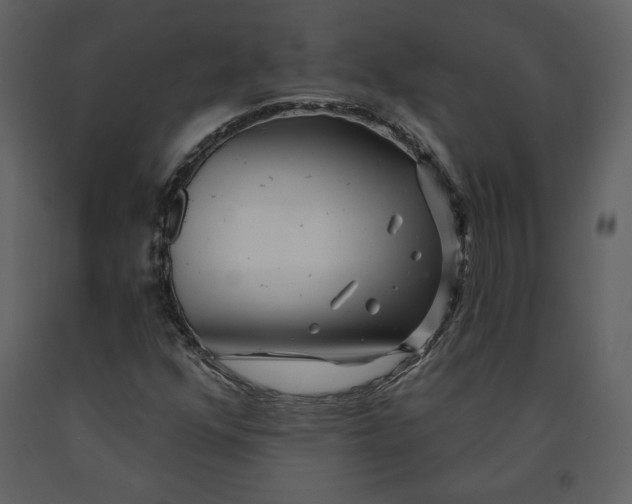 X0000090951352200708241118