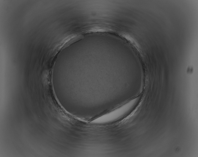 X0000090951353200708241118