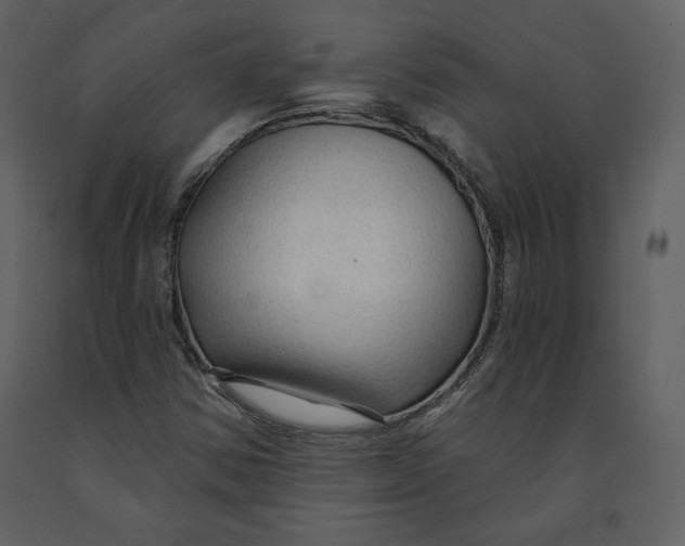 X0000090951354200708241118