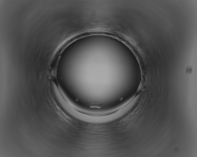 X0000090951356200708241118