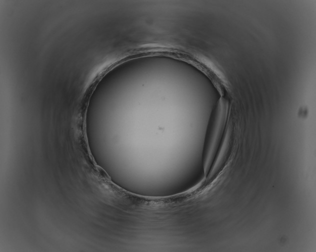X0000090951357200708241118