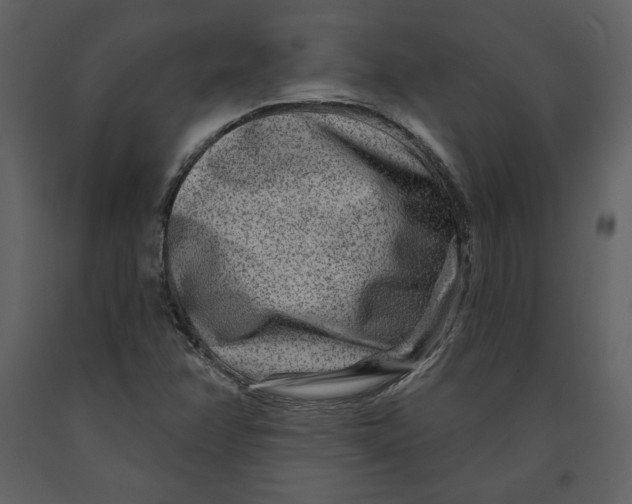 X0000090951358200708241118
