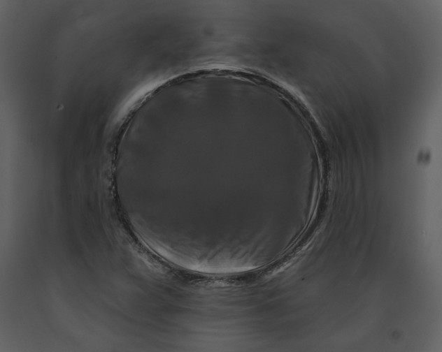 X0000090951359200708241118