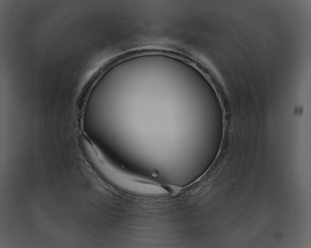 X0000090951360200708241118