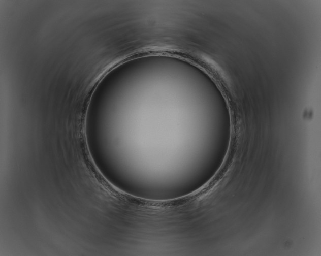 X0000090951361200708241118