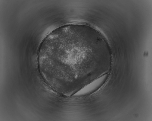 X0000090951362200708241118