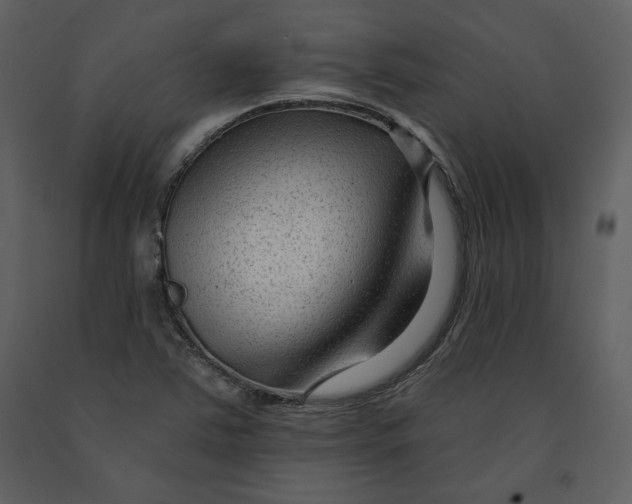 X0000090951363200708241118