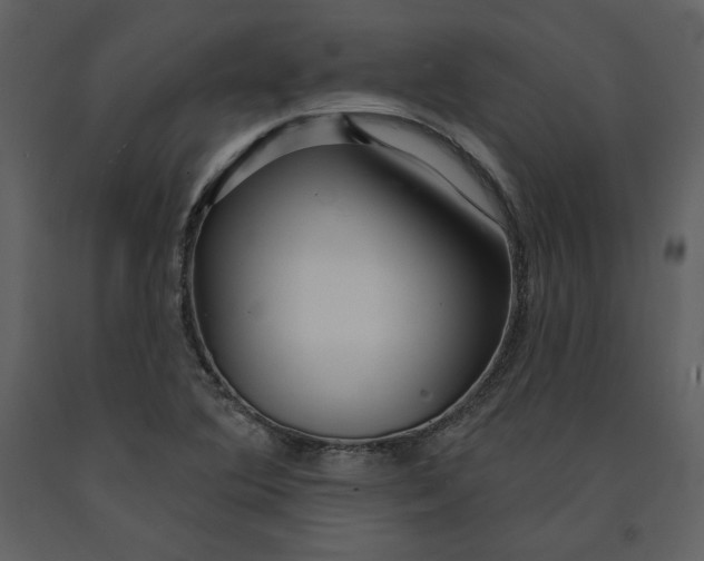 X0000090951364200708241118