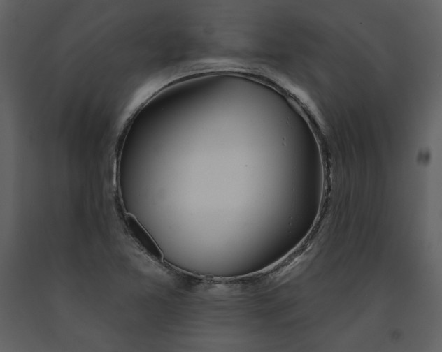 X0000090951365200708241118