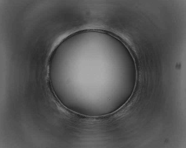 X0000090951366200708241118