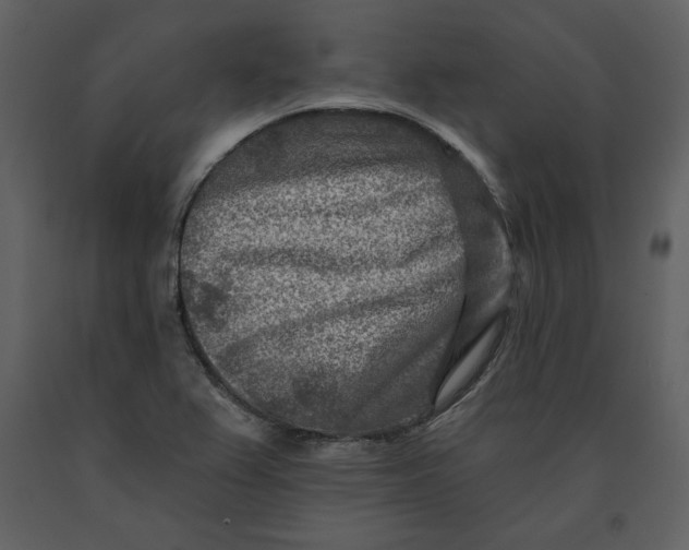 X0000090951367200708241118