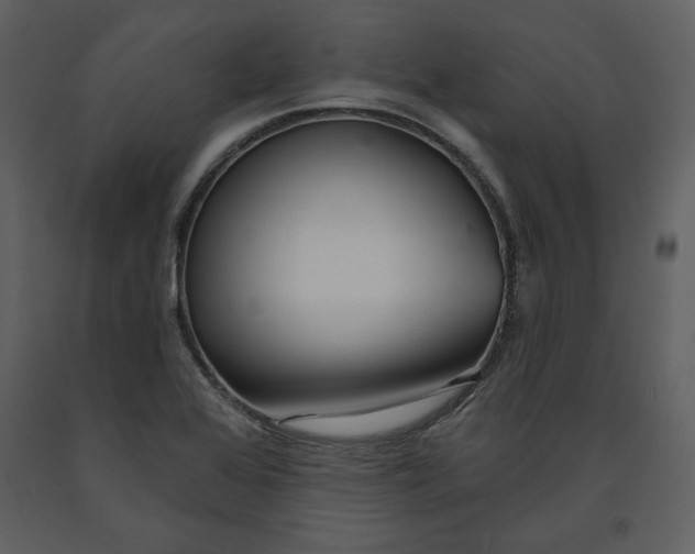 X0000090951368200708241118