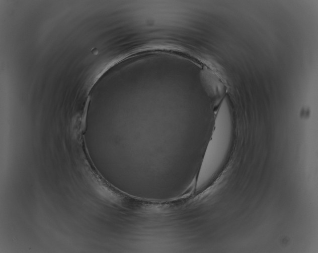 X0000090951369200708241118