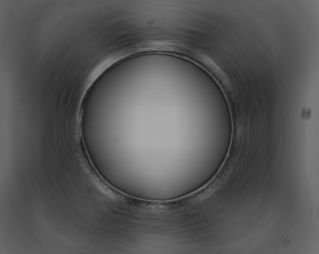 X0000090951370200708241118