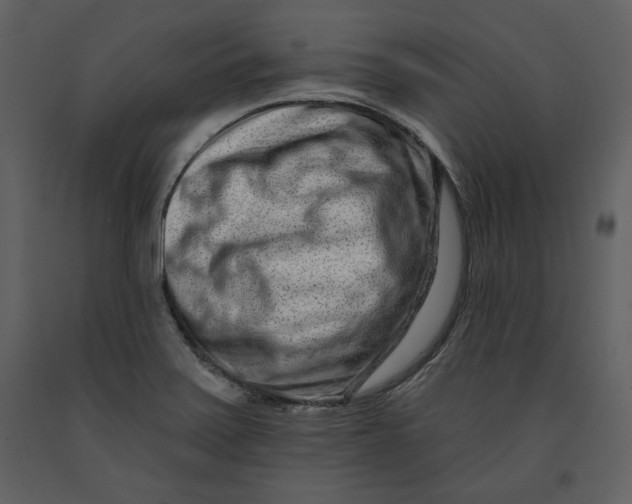 X0000090951371200708241118