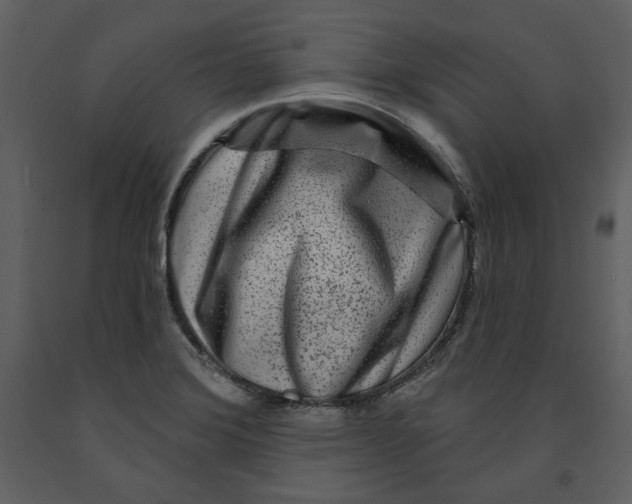 X0000090951372200708241118