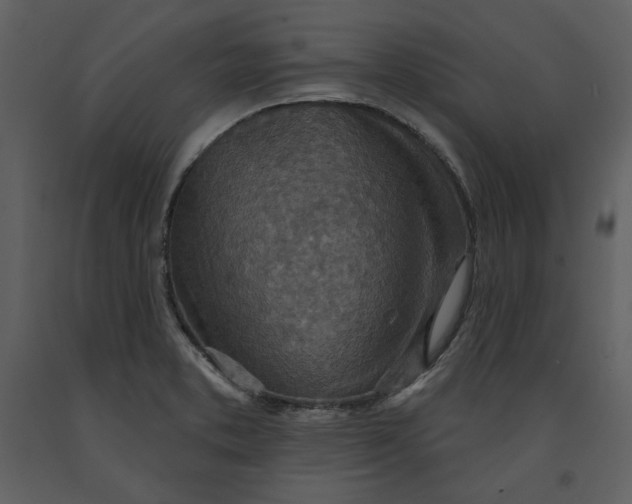 X0000090951373200708241118
