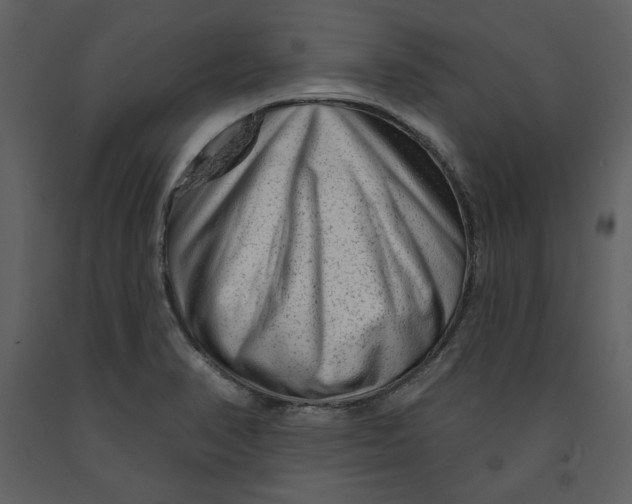 X0000090951374200708241118